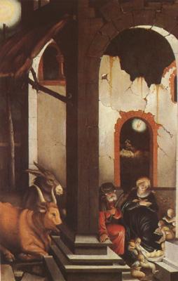 Hans Baldung Grien The Nativity (mk08) oil painting picture